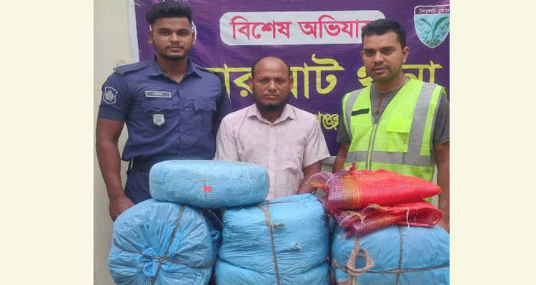 গোয়াল ঘর থেকে ১৬ কেজি গাঁজাসহ মাদক কারবারি গ্রেপ্তার