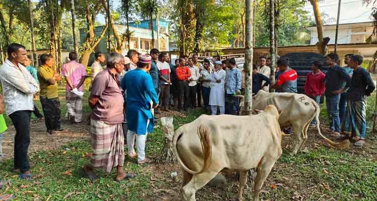 জৈন্তাপুরে পুলিশ,বিজিবি ও উপজেলা প্রশাসনের পৃথক অভিযান