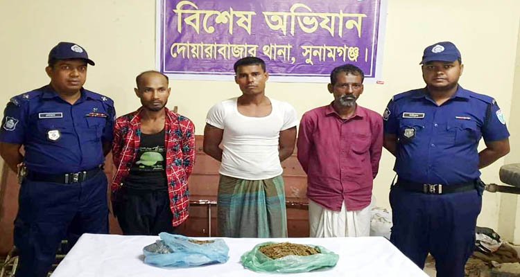 দোয়ারাবাজারে গাঁজাসহ ৩ ব্যাবসায়ী আটক
