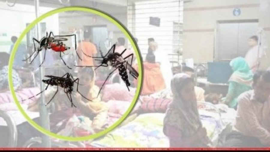 ডেঙ্গুতে মৃত্যু ও আক্রান্তের রেকর্ড ভাঙলো সেপ্টেম্বরে