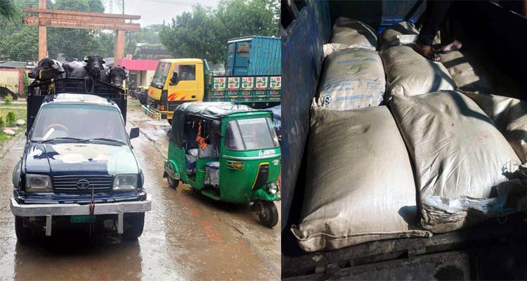 জৈন্তাপুর পুলিশের অভিযানে ভারতীয় মহিষ, চিনি ও জুতা আটক