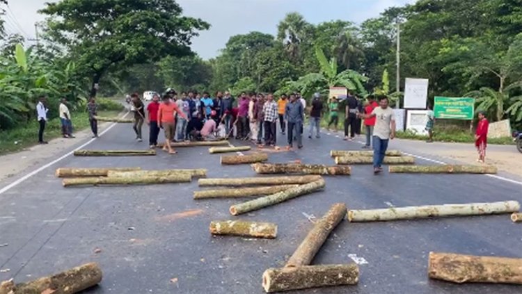 দক্ষিণ সুরমায় সড়কে গাছ ফেলে রাস্তা অবরোধ