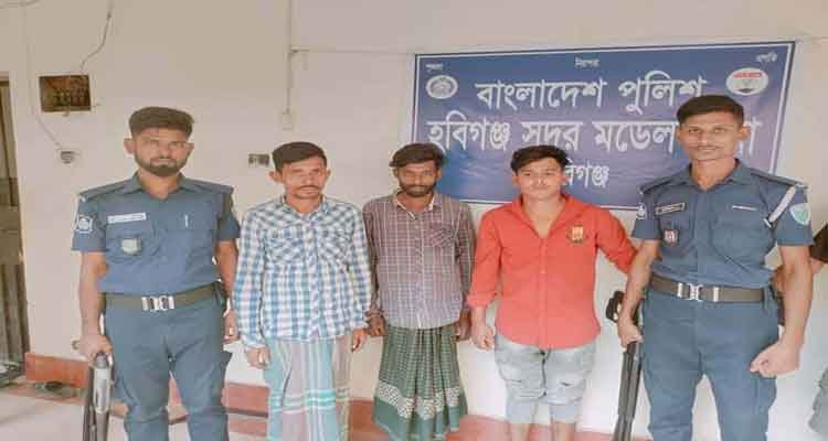 হবিগঞ্জে অটোরিক্সা ও ব্যাটারীসহ আটক-৩