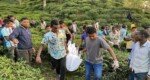 সিলেটে বাগান থেকে যুবকের হাত কাটা ম-র-দে-হ উদ্ধার
