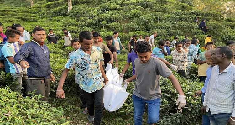 সিলেটে বাগান থেকে যুবকের হাত কাটা ম-র-দে-হ উদ্ধার