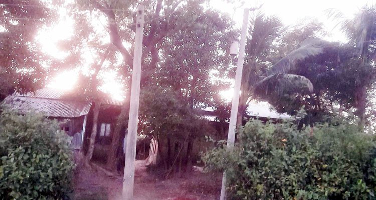 ওয়্যারিং পরিদর্শক সায়েমের বিরুদ্ধে অনিয়ম ও দুর্নীতির অভিযোগ