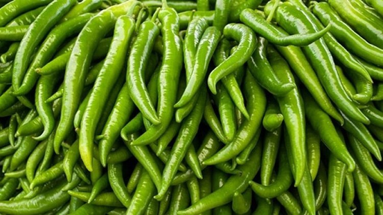 কোলেস্টেরল নিয়ন্ত্রণ করে কাঁচা মরিচ