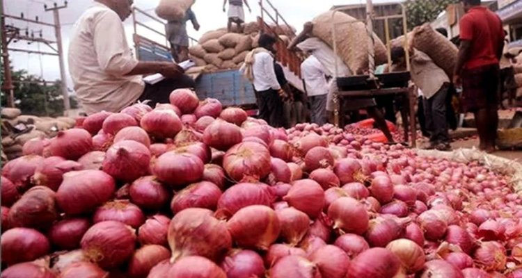 কোম্পানীগঞ্জে পেয়াজের ডাবল সেঞ্চুরি
