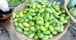 সিলেটের বাজারে লেবুর দাম আকাশচুম্বি!