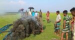 টাংগুয়ার হাওরে মাছ ধরার সরঞ্জাম জব্দ করে আগুনে পুড়ে ধ্বংস
