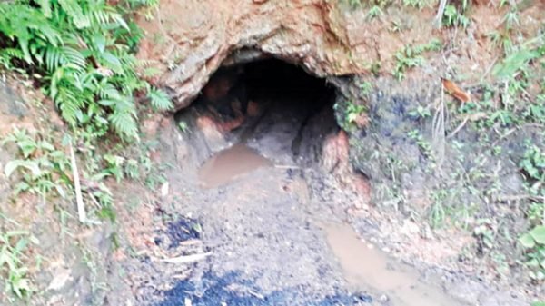 untitled 50 1710971455 - BD Sylhet News