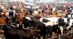 রাজধানীর যেসব স্থানে বসবে কোরবানির পশুর হাট