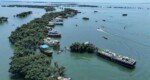 টাঙ্গুয়ার হাওরে হাউসবোট চলাচলে নিষেধাজ্ঞা, পরিবেশ রক্ষায় প্রশাসনের কড়াকড়ি