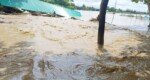 আবারও পানির দাপট: ফেনী-নোয়াখালী-লক্ষ্মীপুর-লালমনিরহাটে দুর্ভোগ