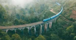 ৪০ দেশের জন্য ভিসা ফি মওকুফের সিদ্ধান্ত
